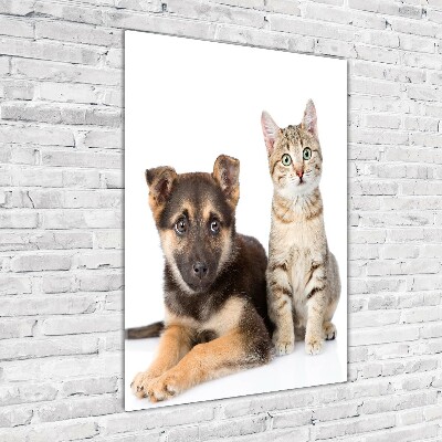 Quadro in vetro verticale Cane e gatto