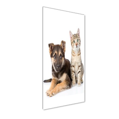 Quadro in vetro verticale Cane e gatto
