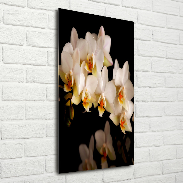 Quadro di vetro verticale Orchidea