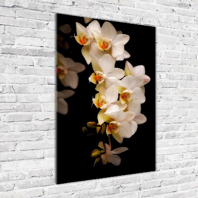 Quadro di vetro verticale Orchidea