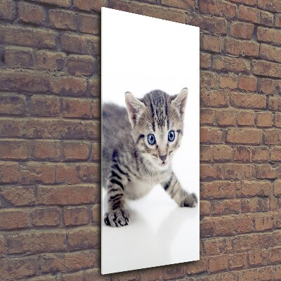 Quadro di vetro verticale Gattino