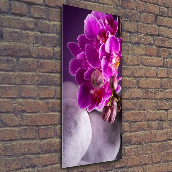 Quadro stampa su vetro verticale Orchidea rosa