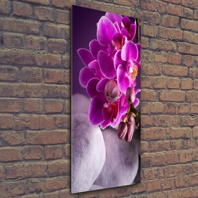 Quadro stampa su vetro verticale Orchidea rosa