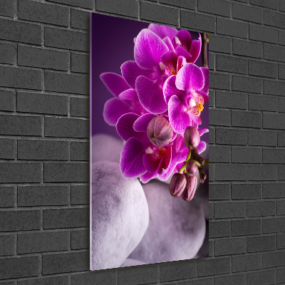 Quadro stampa su vetro verticale Orchidea rosa