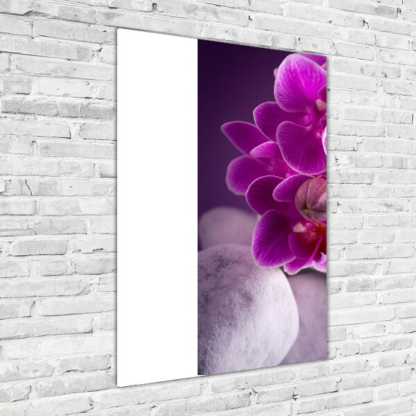 Quadro stampa su vetro verticale Orchidea rosa