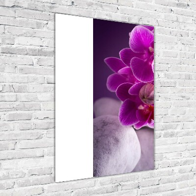 Quadro stampa su vetro verticale Orchidea rosa