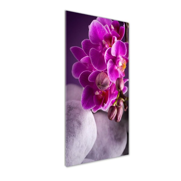 Quadro stampa su vetro verticale Orchidea rosa