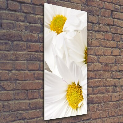 Quadro in vetro verticale Margherite