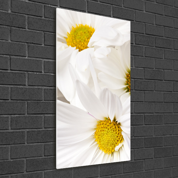 Quadro in vetro verticale Margherite
