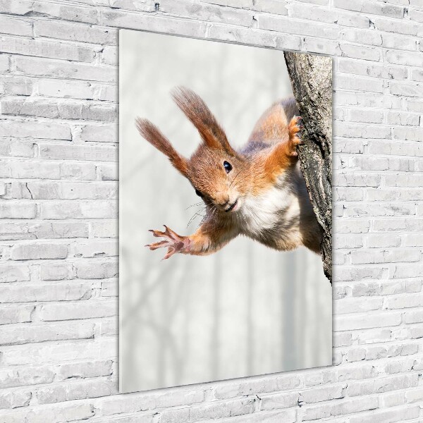 Quadro vetro verticale Scoiattolo su un albero
