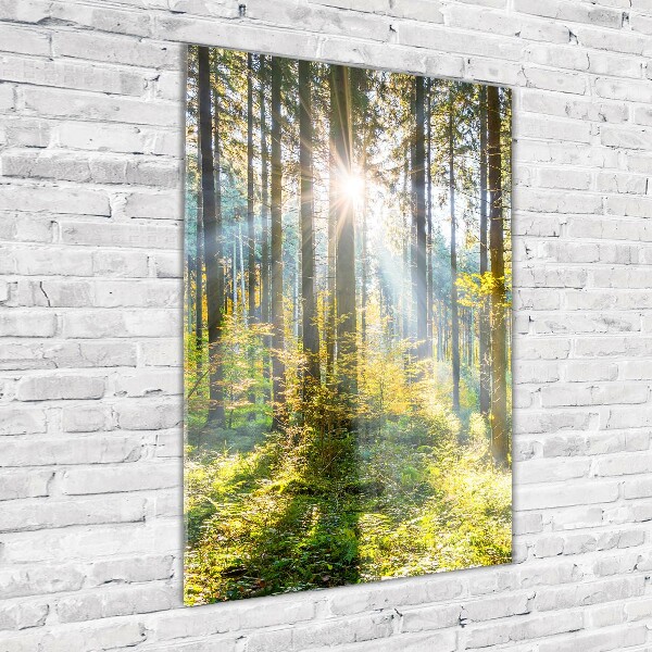Quadro vetro verticale Il sole nella foresta