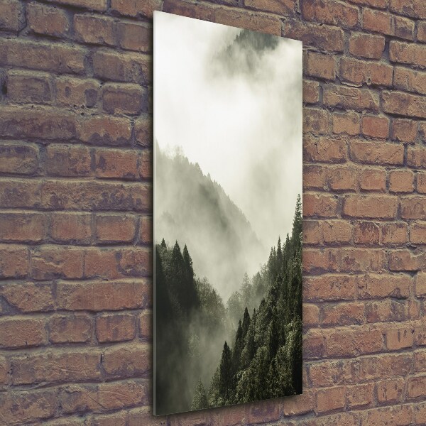 Quadro in vetro verticale Nebbia sulla foresta