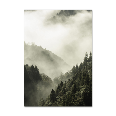 Quadro in vetro verticale Nebbia sulla foresta