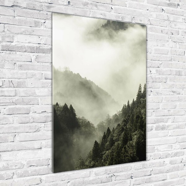 Quadro in vetro verticale Nebbia sulla foresta