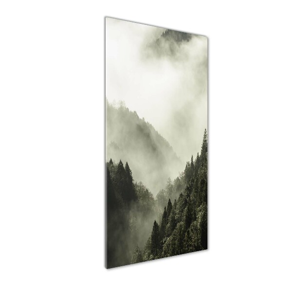 Quadro in vetro verticale Nebbia sulla foresta