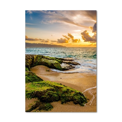 Quadro di vetro verticale Mare al tramonto