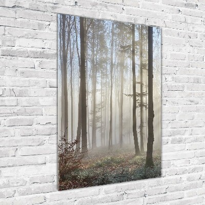 Quadro vetro verticale Nebbia nella foresta