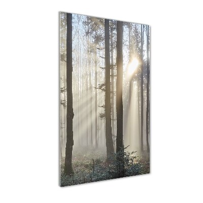 Quadro vetro verticale Nebbia nella foresta