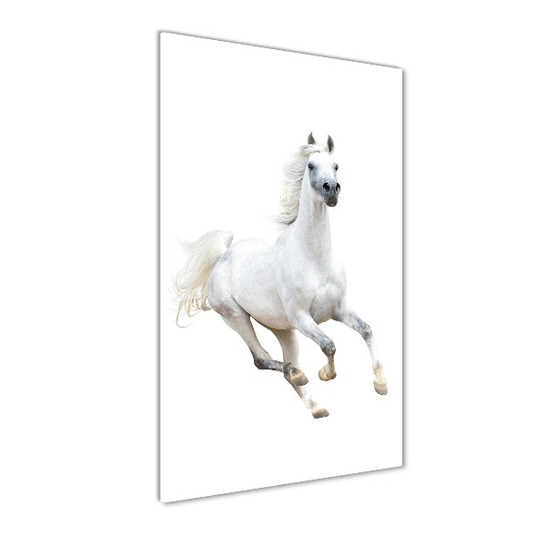 Quadro stampa su vetro verticale Un cavallo bianco al galoppo