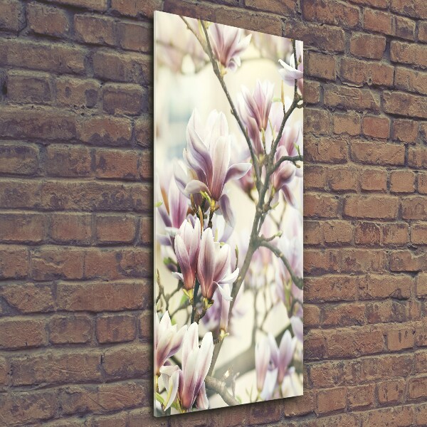 Quadro stampa su vetro verticale Magnolia