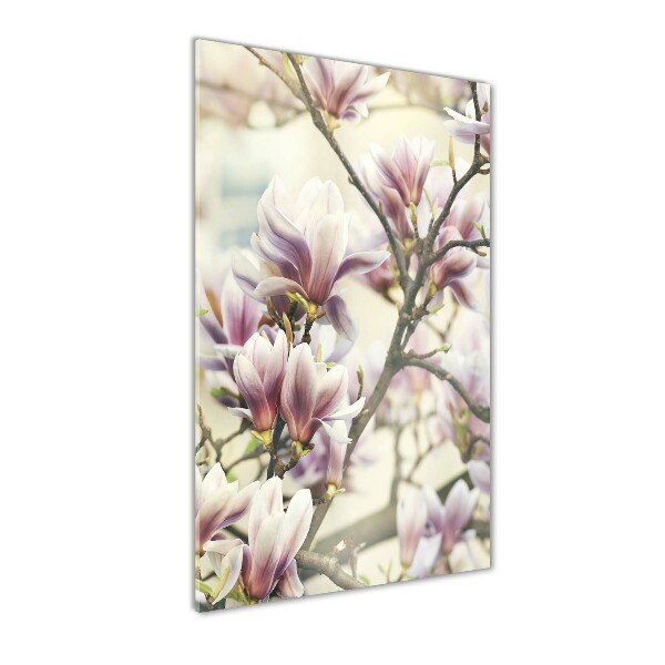 Quadro stampa su vetro verticale Magnolia