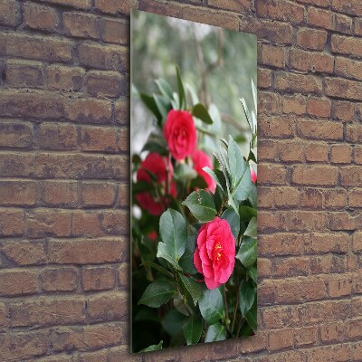 Quadro vetro verticale Camelia