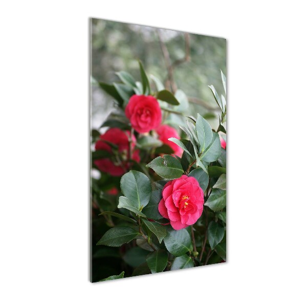 Quadro vetro verticale Camelia