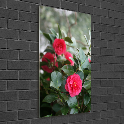 Quadro vetro verticale Camelia