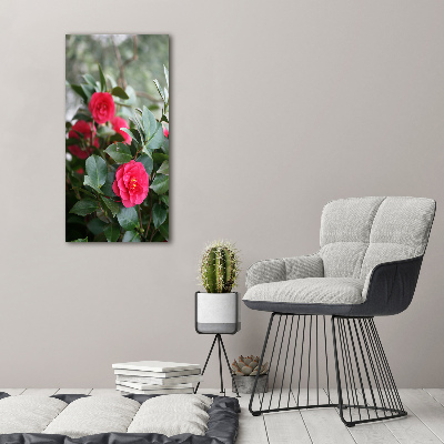 Quadro vetro verticale Camelia