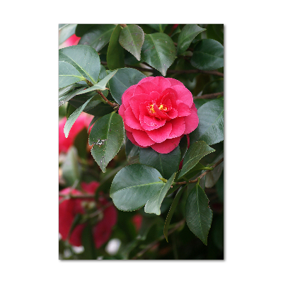 Quadro vetro verticale Camelia
