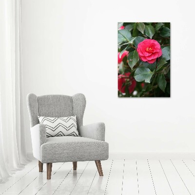 Quadro vetro verticale Camelia