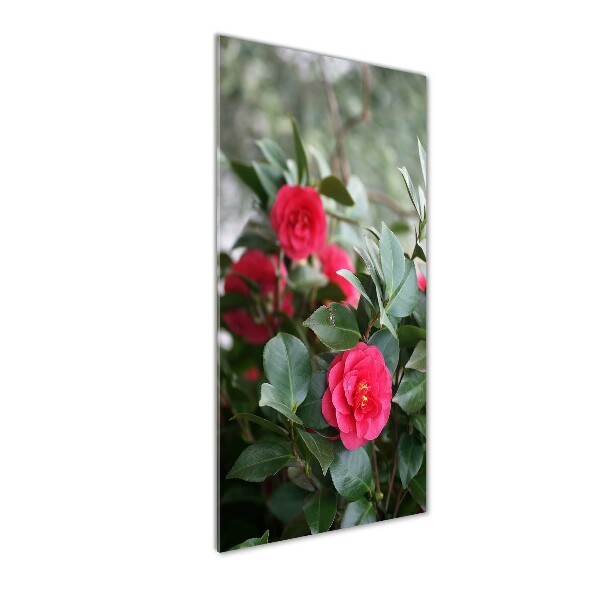 Quadro vetro verticale Camelia