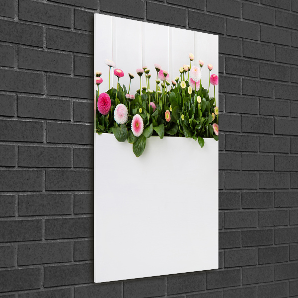 Quadro di vetro verticale Margherite rosa