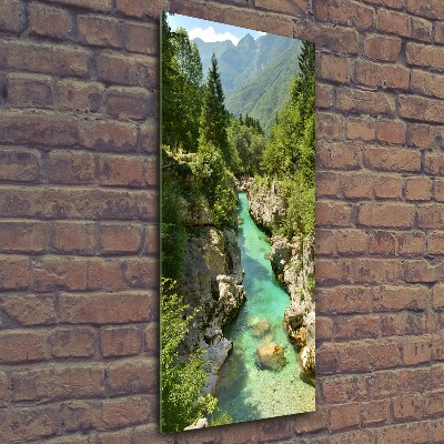 Quadro vetro verticale Torrente di montagna