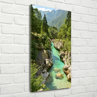 Quadro vetro verticale Torrente di montagna