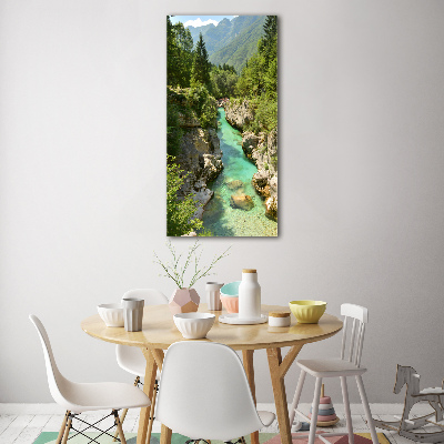 Quadro vetro verticale Torrente di montagna