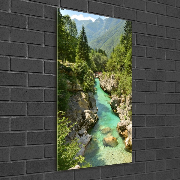 Quadro vetro verticale Torrente di montagna