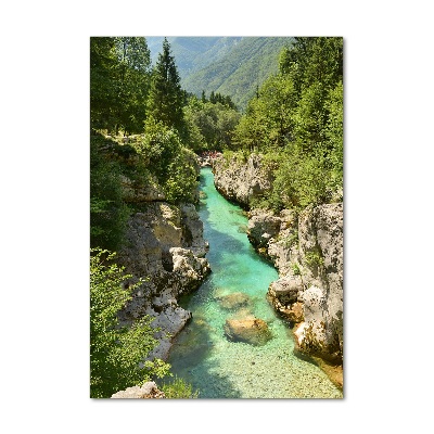 Quadro vetro verticale Torrente di montagna