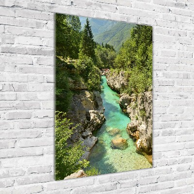 Quadro vetro verticale Torrente di montagna