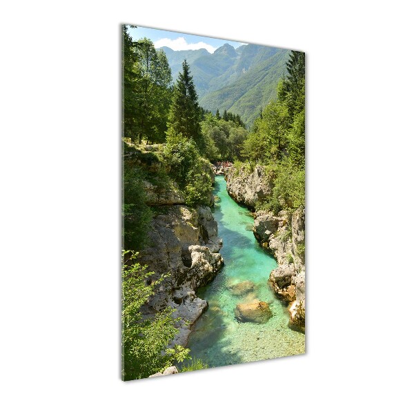 Quadro vetro verticale Torrente di montagna