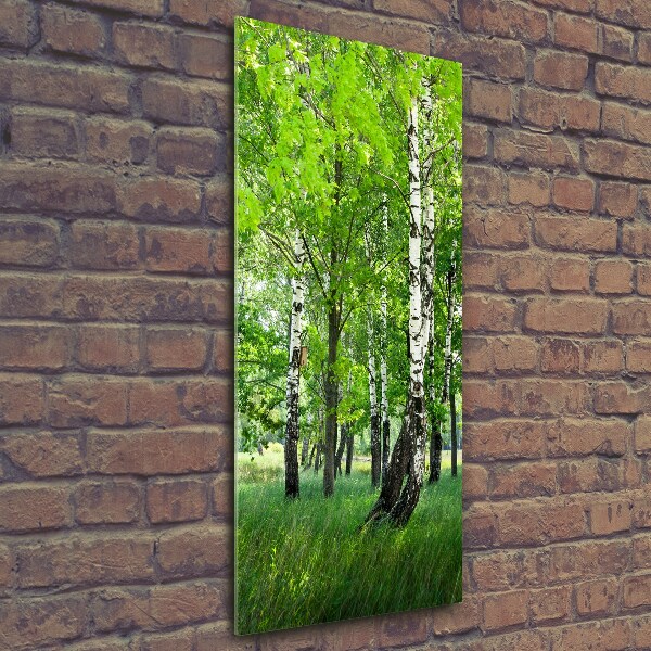 Quadro in vetro verticale Foresta di betulle