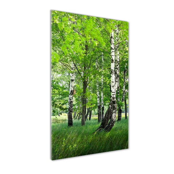 Quadro in vetro verticale Foresta di betulle