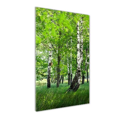 Quadro in vetro verticale Foresta di betulle
