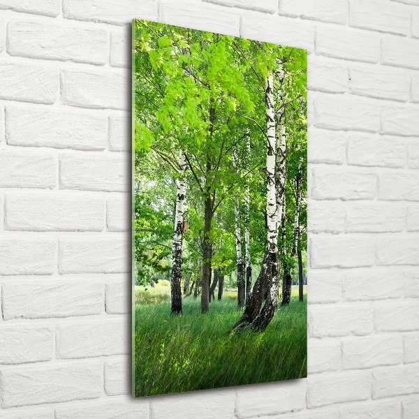 Quadro in vetro verticale Foresta di betulle