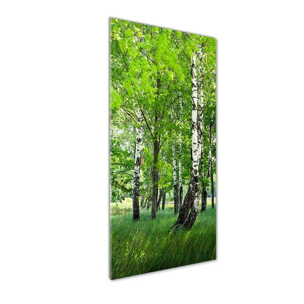Quadro in vetro verticale Foresta di betulle