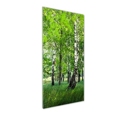 Quadro in vetro verticale Foresta di betulle