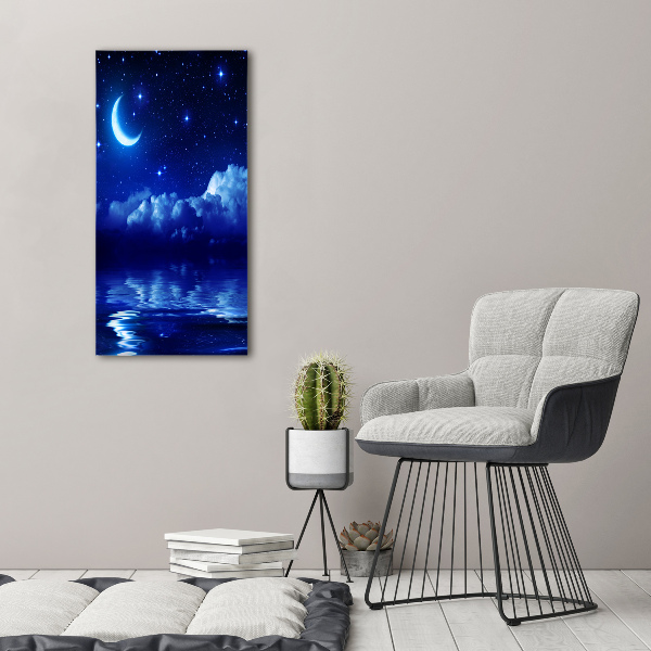 Quadro di vetro verticale Il cielo di notte