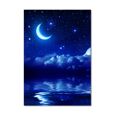 Quadro di vetro verticale Il cielo di notte