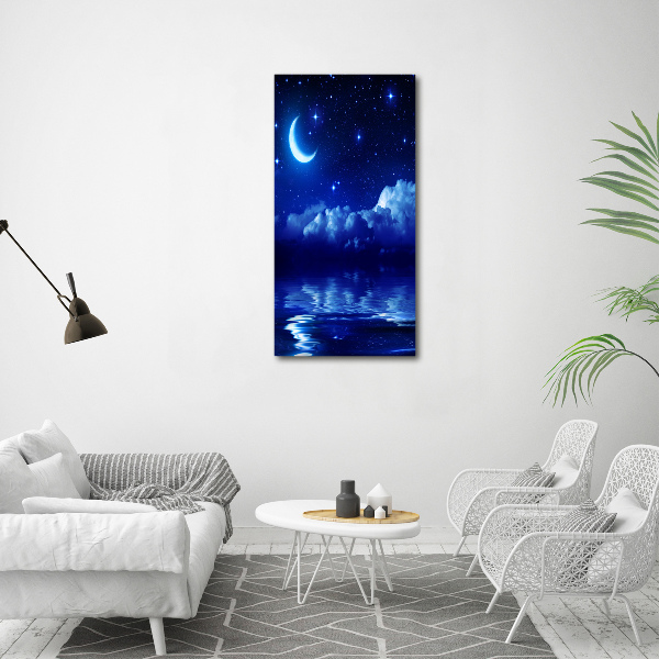 Quadro di vetro verticale Il cielo di notte