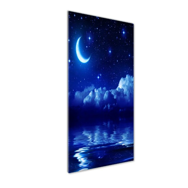 Quadro di vetro verticale Il cielo di notte